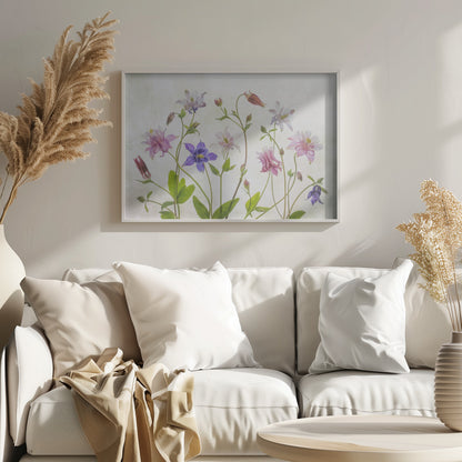 A delicate arrangement of various columbine flowers in shades of purple, pink, white, and red, with bright green leaves and stems against a soft, light-textured background, enclosed in a silver frame. Artwork