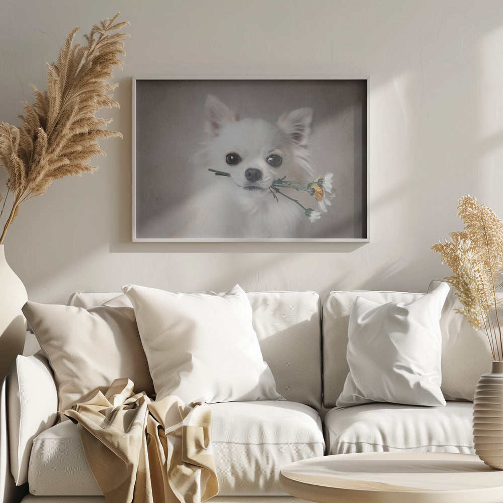 Chihuahua with flowers - Poster / Art Print