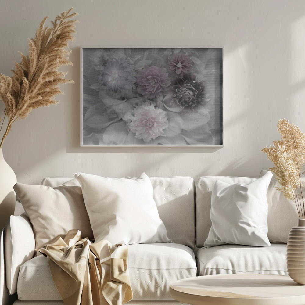 A soft-focus floral artwork in a silver frame, featuring a dense arrangement of dahlias. The image is mostly grayscale, with the flowers highlighted in muted tones of lavender, mauve, and deep purple for a dreamy, romantic feel. Print