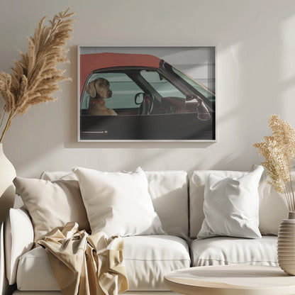A Weimaraner dog sits in the driver's seat of a black convertible car with a red soft top. The dog is looking out the side window with a calm expression. Artwork