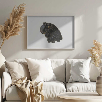 A framed vintage illustration of a black cockatoo's head in profile against a solid white background. The bird has detailed black feathers, a large dark beak, and a striking yellow-orange eye. The artwork is encased in a simple silver frame. Wall Art