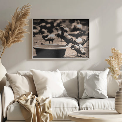 A sepia-toned, high-contrast photograph of a pigeon perched on the edge of a large, weathered bowl. In the soft-focus background, a large flock of other pigeons mills around on the ground. The image has a silver-colored frame. Artwork
