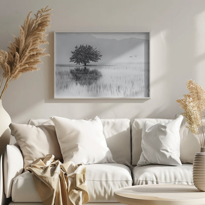 A serene black and white landscape photograph of a solitary tree standing in a calm lake, its reflection mirrored perfectly in the water. Hazy mountains are visible in the distance, and two birds fly across the pale sky, all enclosed within a silver frame. Print