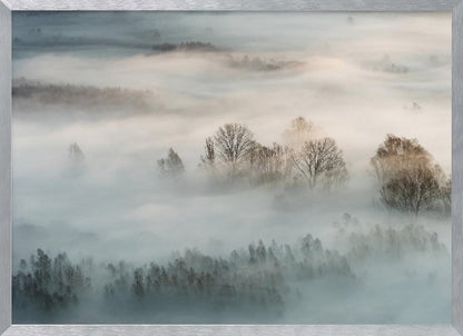 An atmospheric landscape photograph of a forest shrouded in thick, rolling fog, with the bare branches of treetops emerging from the mist, creating a serene and mysterious scene, presented in a silver frame. Wall Art