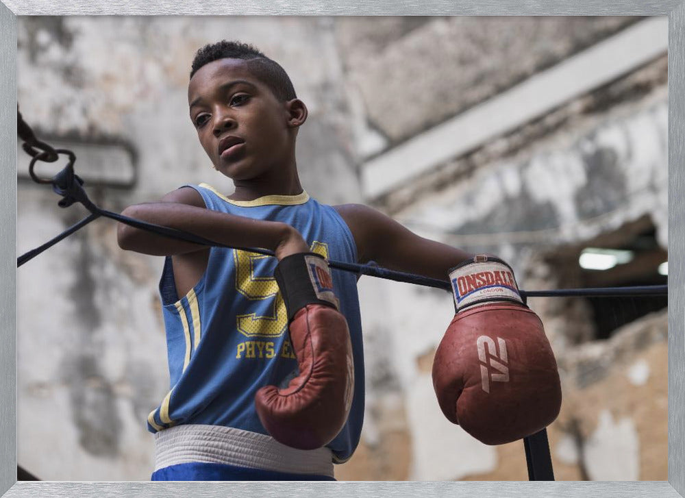 Boxing - Poster / Art Print