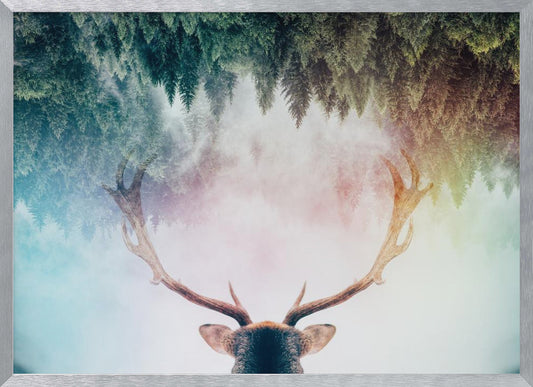 Antler - Poster / Art Print