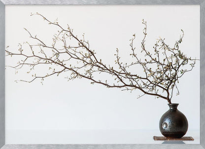 A minimalist still life of a long, delicate branch with small leaves arranged horizontally in a small, dark, round ceramic vase. The background is stark white, creating a high-contrast, serene composition, all within a silver frame. Print