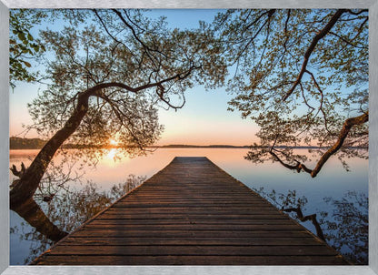 A tranquil sunrise over a still lake, viewed from a long wooden pier that stretches into the water, with silhouetted tree branches framing the serene scene. Poster