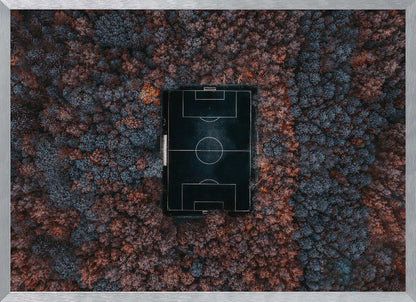 An aerial top-down photograph of a stark black soccer field with white markings, dramatically set in the middle of a dense, colorful forest with blue and rust-colored trees, all enclosed within a silver frame. Wall Art