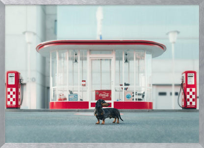 A small black and tan dachshund standing proudly on the pavement in front of a retro-style glass-walled gas station with bright red trim and two vintage red and white checkered gas pumps. Wall Art