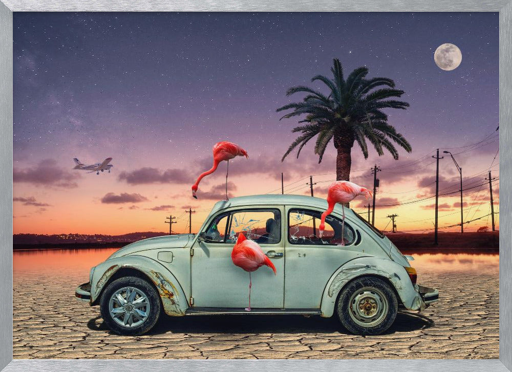 Flamingos Ate My Car - Poster / Art Print