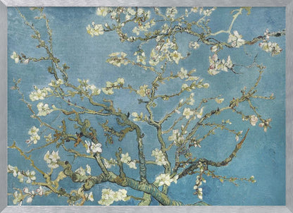 A framed print of Vincent van Gogh's painting 'Almond Blossom,' featuring delicate white blossoms on gnarled branches set against a vibrant turquoise-blue sky. Poster