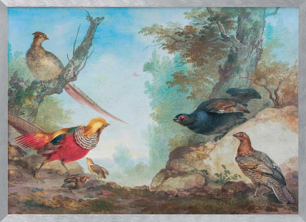A vintage-style painting of various game birds in a natural, wooded landscape, enclosed in a silver frame. A vibrant golden pheasant and its chicks are on the left, while a black grouse perches on a rock and another stands on the ground to the right. A female pheasant sits on a tree branch above. Poster