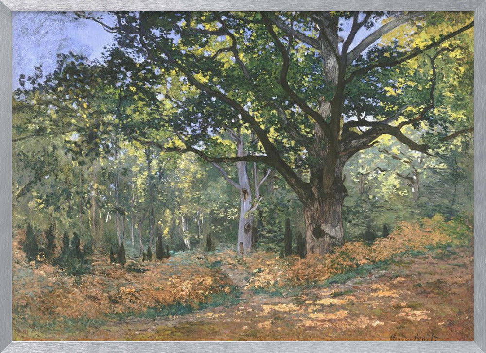 An impressionist painting by Claude Monet titled 'The Bodmer Oak, Fontainebleau Forest'. The artwork depicts a massive, ancient oak tree dominating a sun-dappled forest scene. The ground is covered in golden-brown ferns, and sunlight filters through the lush green canopy, creating a play of light and shadow. Decor