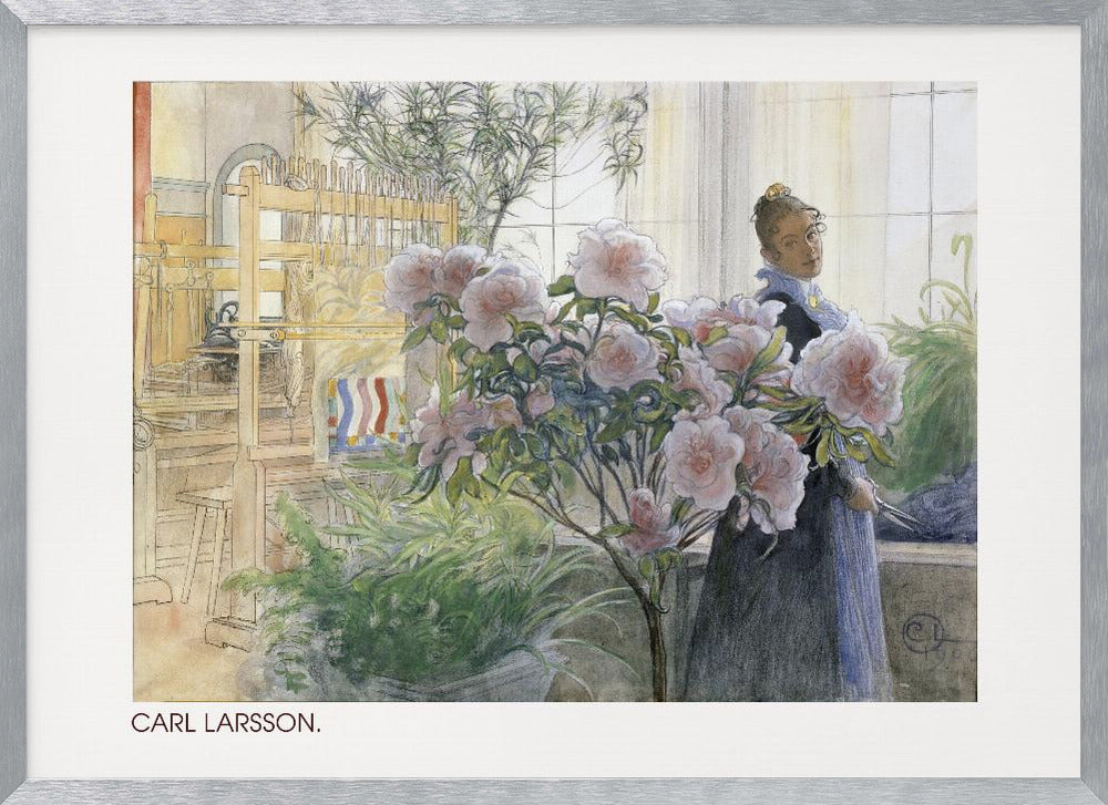 A vintage watercolor painting by Carl Larsson depicting a woman standing indoors beside a large flowering pink azalea bush. In the background, a sunlit room contains a wooden weaving loom and other potted plants. Decor