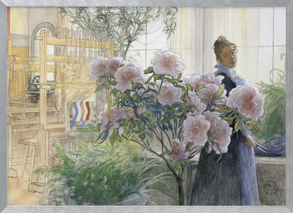 A vintage illustration by Carl Larsson titled 'Azalea', depicting a woman in a dark dress standing in a sunlit room with a large wooden weaving loom. She is partially obscured by a large, blooming pink azalea bush in the foreground. Poster