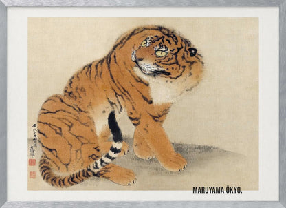 A vintage Japanese painting by Maruyama Ōkyo featuring a fluffy tiger sitting down and looking over its shoulder. The tiger has vibrant orange fur with black stripes and a white ruff. The background is a simple, textured beige paper with Japanese characters on the left. The artist's name is printed in the bottom right corner, and the entire piece is displayed in a silver frame. Print