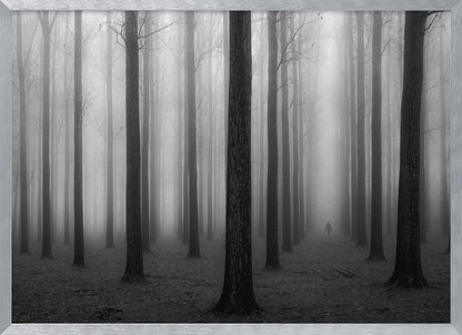 A moody black and white framed photograph of a person walking away through a dense forest on a foggy day. Tall, dark, leafless tree trunks stand in rows, disappearing into the thick, white mist, creating a sense of depth and mystery. Wall Art