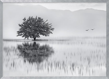 A serene black and white landscape photograph of a solitary tree standing in a calm lake, its reflection mirrored perfectly in the water. Hazy mountains are visible in the distance, and two birds fly across the pale sky, all enclosed within a silver frame. Print