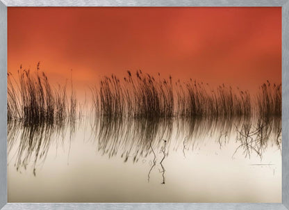 A minimalist landscape photograph in a silver frame, showing dark reeds silhouetted against a vibrant solid orange sky. The calm water perfectly reflects the reeds and the warm glow of the sky, creating a serene and abstract scene. Print