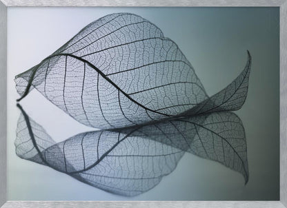 A close-up, macro photograph of a delicate skeleton leaf with intricate veins. The leaf is curled and resting on a reflective surface, creating a mirror image below it. The background is a soft, cool gradient from light blue to a darker muted teal. The image is presented within a brushed silver frame. Artwork