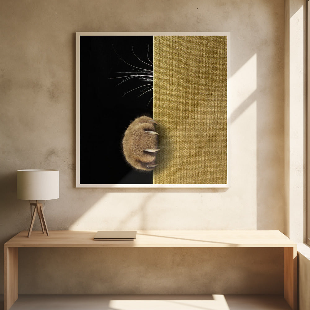 Shy cat ... - Poster / Art Print