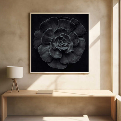 A framed black and white, top-down photograph of a succulent. The intricate, textured leaves of the plant form a perfect rosette, creating a strong contrast against the solid black background. Poster