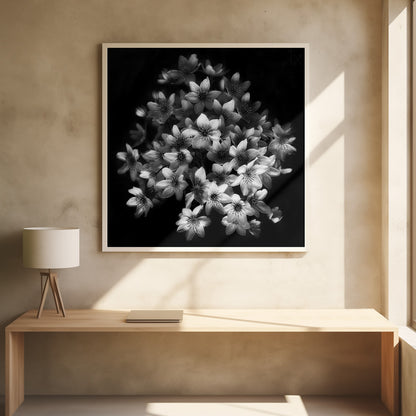 A moody black and white close-up photograph of a cluster of small, delicate star-shaped flowers against a solid black background, presented in a light brown wooden frame. Poster