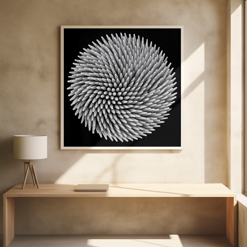 A framed, black and white, top-down macro photograph of a dense, circular bundle of wooden toothpicks. The points of the toothpicks radiate outwards in a swirling, spiral pattern, creating a highly textured and spiky sphere against a solid black background. Artwork