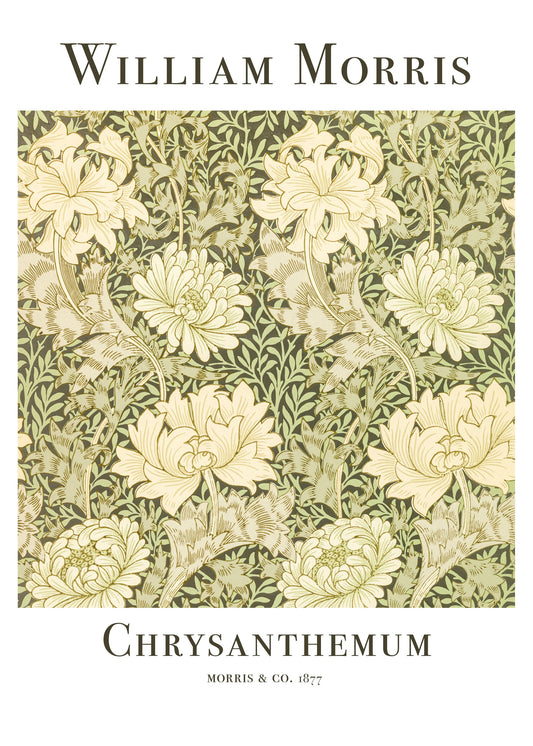 Chrysanthemum - Poster / Art Print